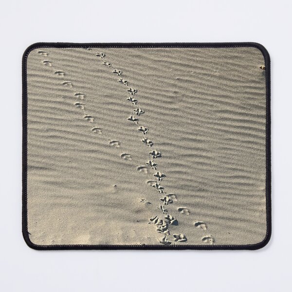 Item preview, Birds footprints on sand beach designed and sold by Yulia mozes.
