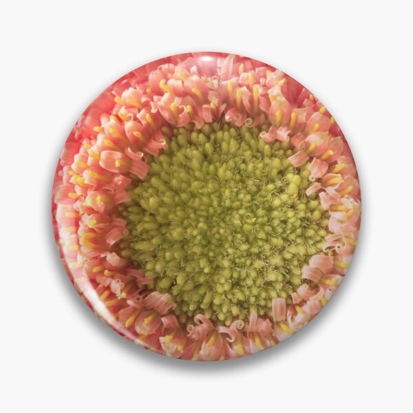 Item preview, centre of a universe. SPRING  designed and sold by Tereza Pilar  Art.