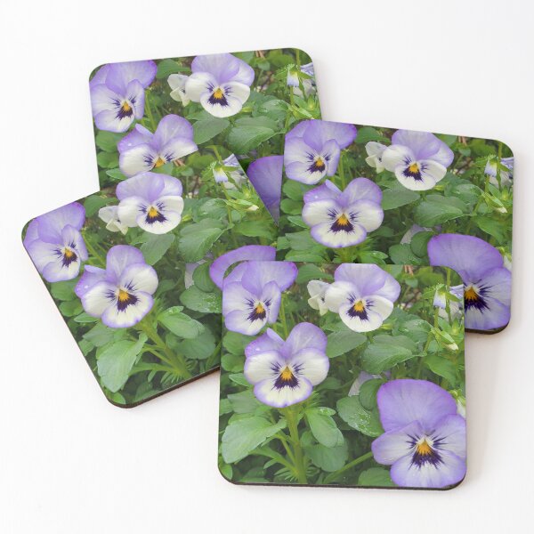 Item preview, Pansy designed and sold by Firstbloom.