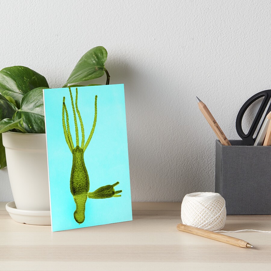 Item preview, Art Board Print designed and sold by ScienceSource.