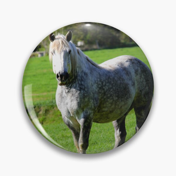 Item preview, Horse designed and sold by Picsorama.