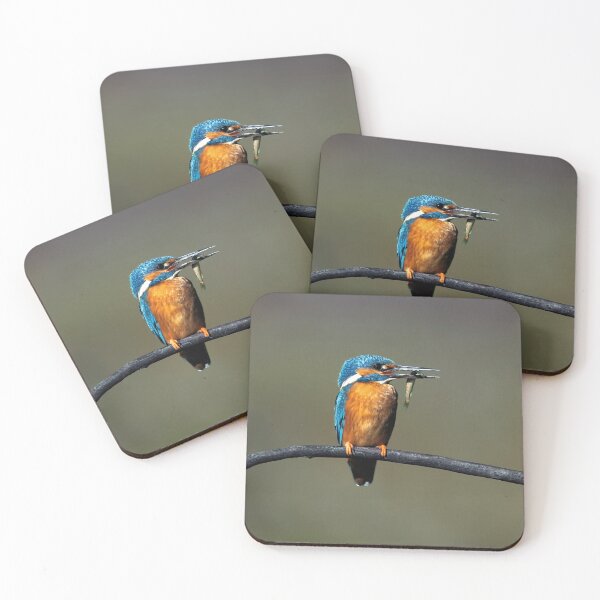 Item preview, Kingfisher designed and sold by Tom McPherson Photography.