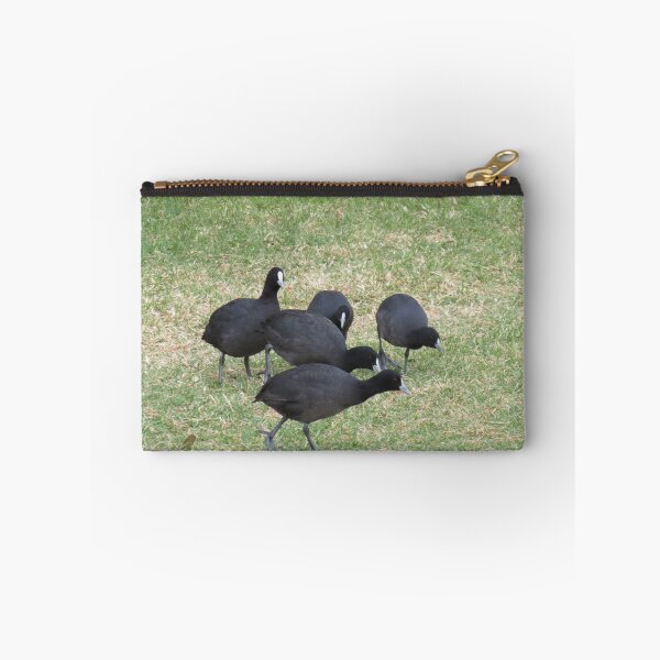 Item preview, A group of Eurasian coots designed and sold by greentiger1.