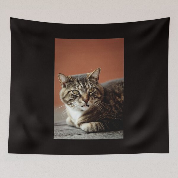 Item preview, Cat designed and sold by Picsorama.