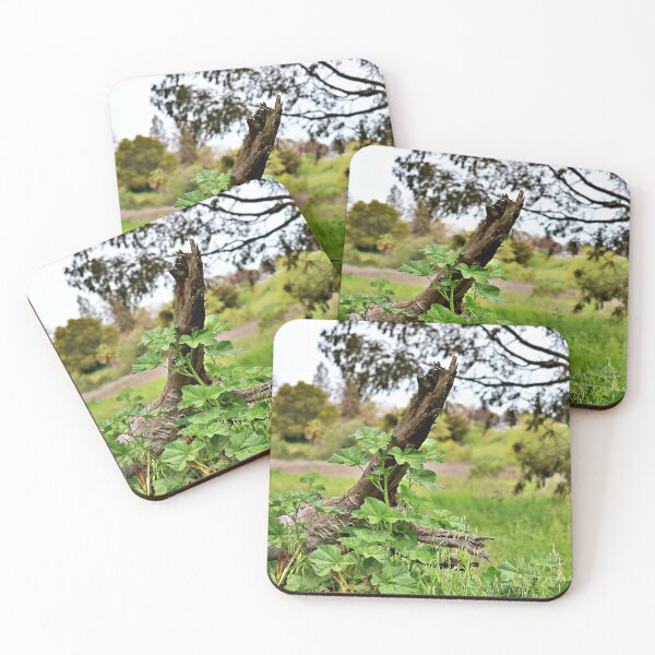 Item preview, New Growth Against Old designed and sold by Martha Sherman.