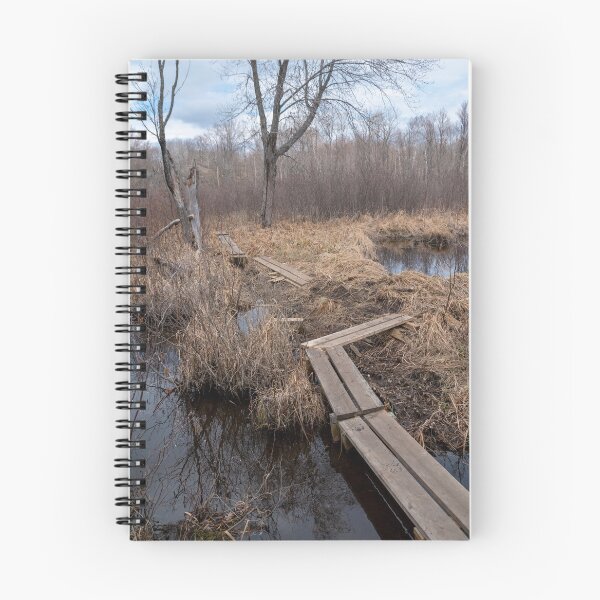 Item preview, Rickety Boardwalk through a Swamp in Ontario designed and sold by jrtwynam.