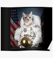 Astronaut White Cat Poster