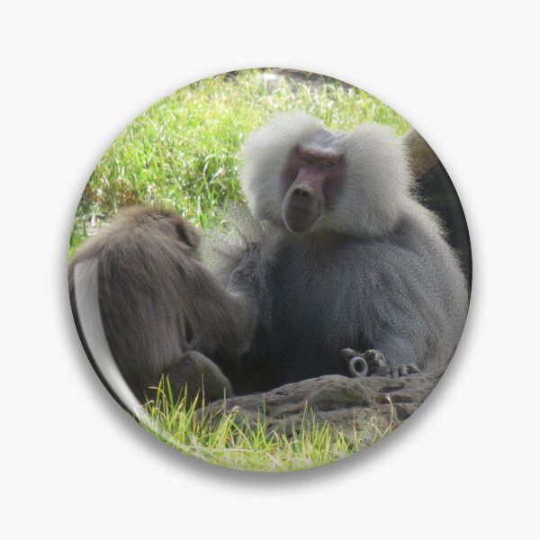 Item preview, Two hamadryas baboons designed and sold by greentiger1.