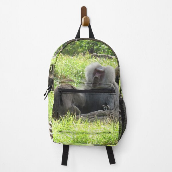 Item preview, Two hamadryas baboons designed and sold by greentiger1.