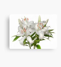 Glorious Lilies Canvas Print