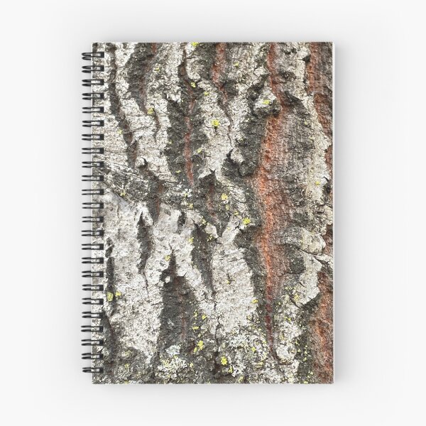 Item preview, Tree Bark close up designed and sold by ClaudiasCousin.