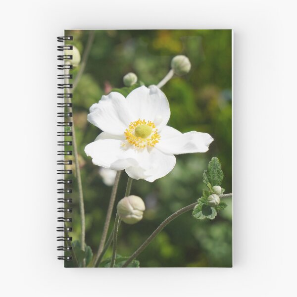 Item preview, Solitaire designed and sold by RGKphotos.