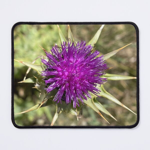 Item preview, Purple Thistle, close up designed and sold by ClaudiasCousin.