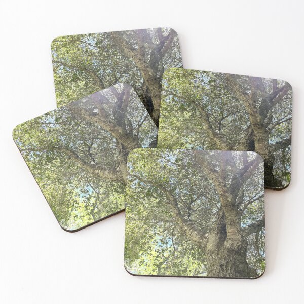 Item preview, View from under a canopy of a tree designed and sold by ClaudiasCousin.