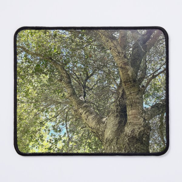 Item preview, View from under a canopy of a tree designed and sold by ClaudiasCousin.