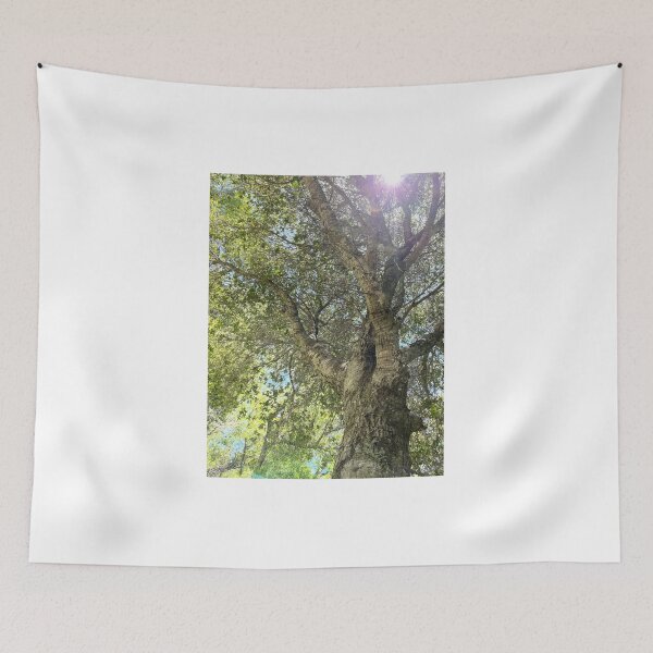 Item preview, View from under a canopy of a tree designed and sold by ClaudiasCousin.