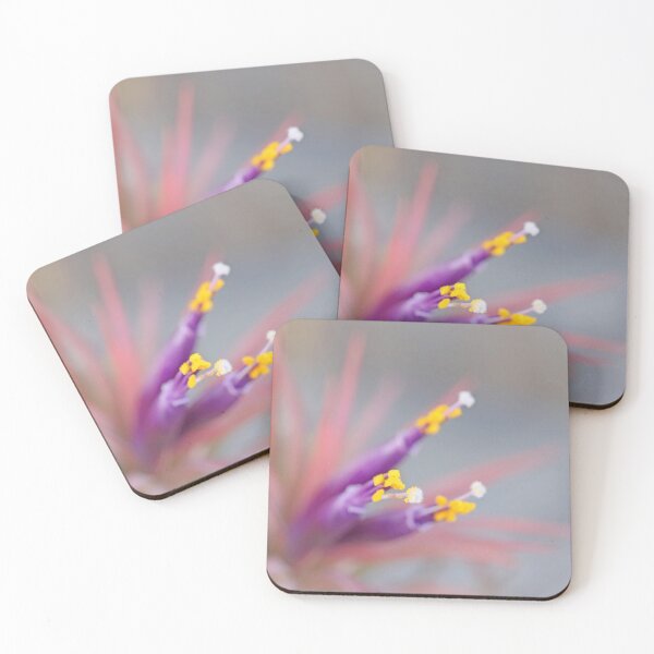 Item preview, Tillandsia Impression designed and sold by Deb Oppermann.