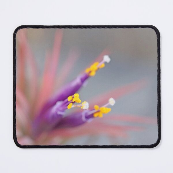 Item preview, Tillandsia Impression designed and sold by Deb Oppermann.