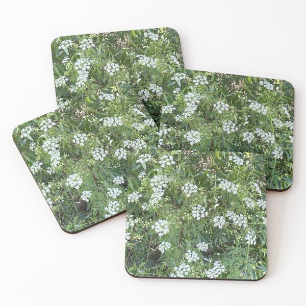 Item preview, Tiny white flowers in bloom designed and sold by ClaudiasCousin.