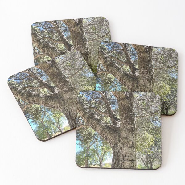 Item preview, Tree with very interesting markings on trunk designed and sold by ClaudiasCousin.