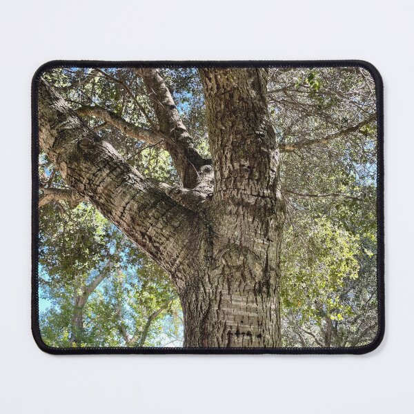 Item preview, Tree with very interesting markings on trunk designed and sold by ClaudiasCousin.
