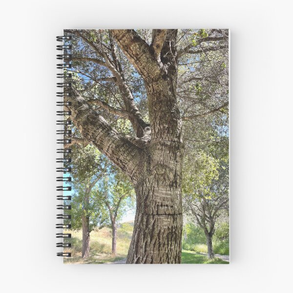 Artikelvorschau, Baum mit sehr interessanten Markierungen am Stamm entworfen und verkauft von ClaudiasCousin.