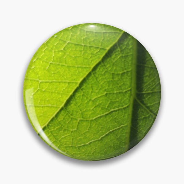 Item preview, Leaf Veins designed and sold by amanda150771.
