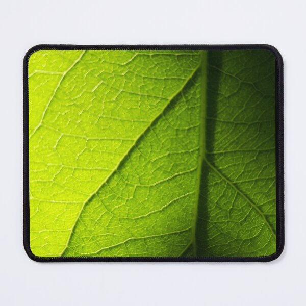 Item preview, Leaf Veins designed and sold by amanda150771.
