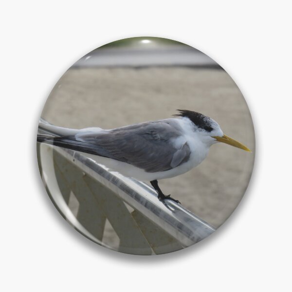 Item preview, Greater crested tern on the handrail designed and sold by greentiger1.