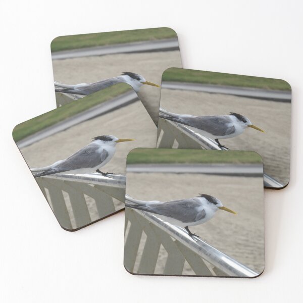 Item preview, Greater crested tern on the handrail designed and sold by greentiger1.
