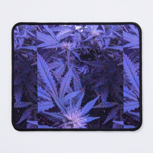 Item preview, Purple Trees designed and sold by PorcelainBoneWitch.