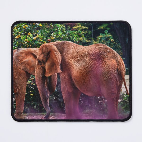 Item preview, Two Elephants designed and sold by clymber9.