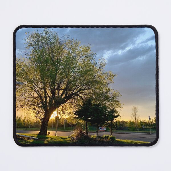 Item preview, The magic hour designed and sold by Clare Farris.