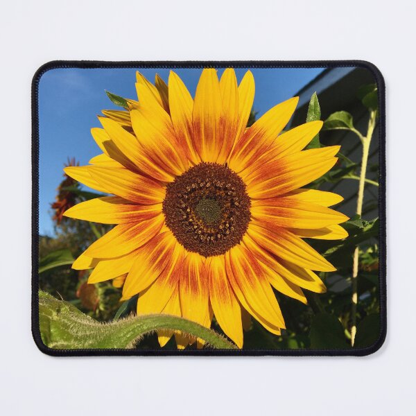 Item preview, Always smiling designed and sold by Clare Farris.