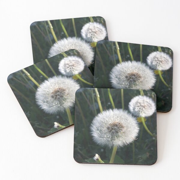 Item preview, Wonder of nature designed and sold by Clare Farris.