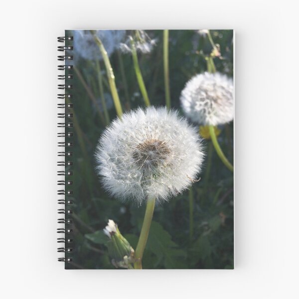Item preview, Wonder of nature designed and sold by Clare Farris.