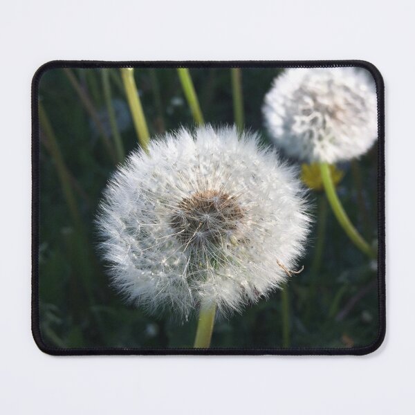Item preview, Wonder of nature designed and sold by Clare Farris.