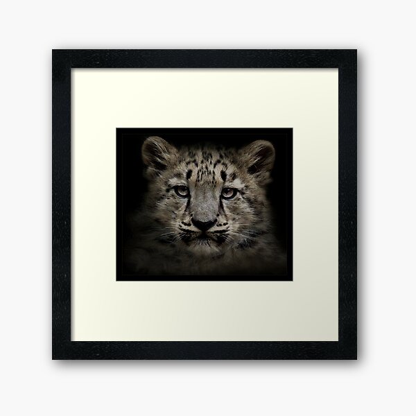 Stare Framed Art Print