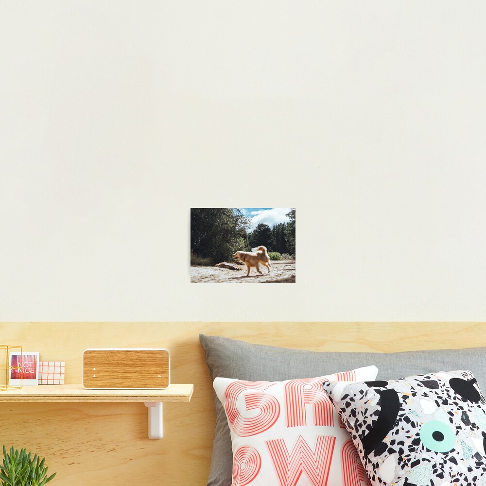 Item preview, Photographic Print designed and sold by Cannanvisual7.