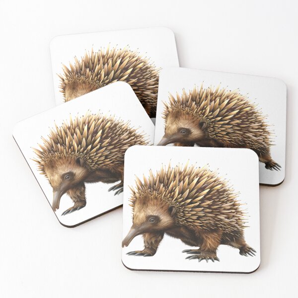Item preview, Echidna, Unique Spiny Anteater of Australia designed and sold by NatureSyllabus.