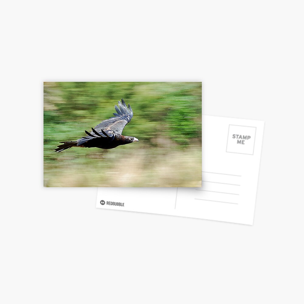 In Flight Postcard