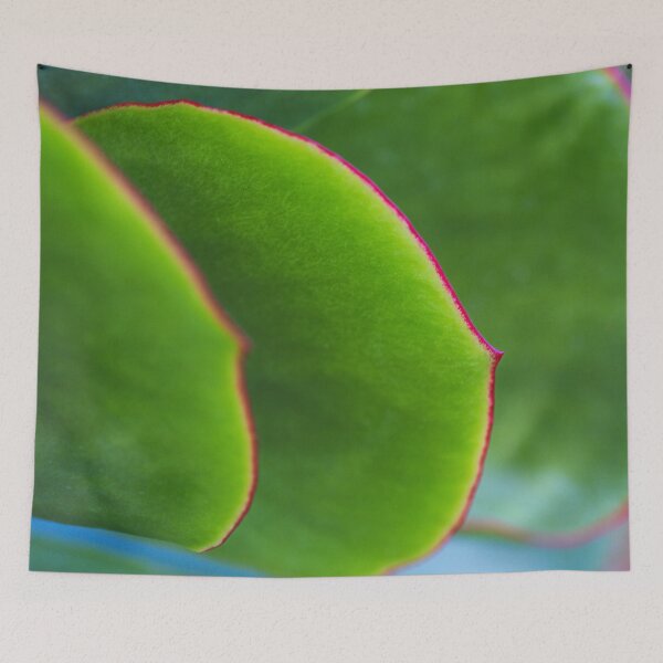 Item preview, Pigs Ear Green Succulent Leaves designed and sold by Joy Watson - Natural Light Photography .