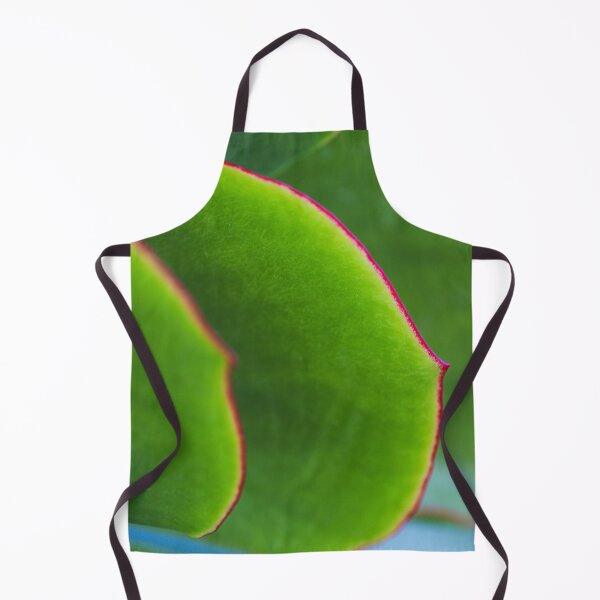 Item preview, Pigs Ear Green Succulent Leaves designed and sold by Joy Watson - Natural Light Photography .