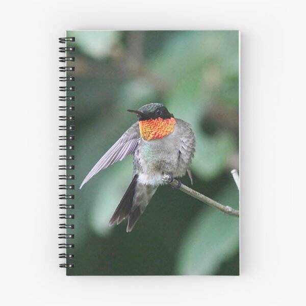 Item preview, A little stretch - hummingbird designed and sold by Linda Crockett.