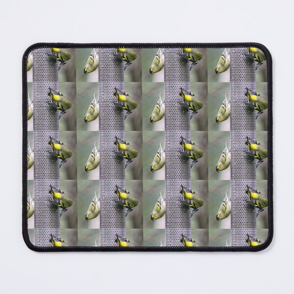 Item preview, siskin designed and sold by KathleenDawson.