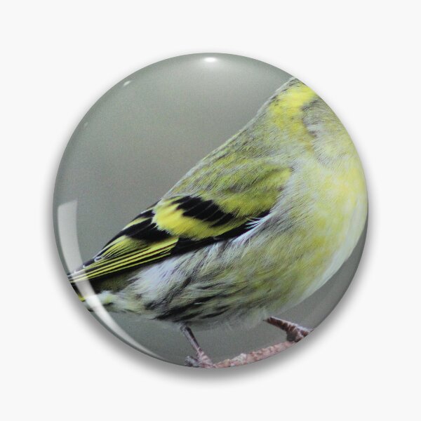 Item preview, siskin designed and sold by KathleenDawson.
