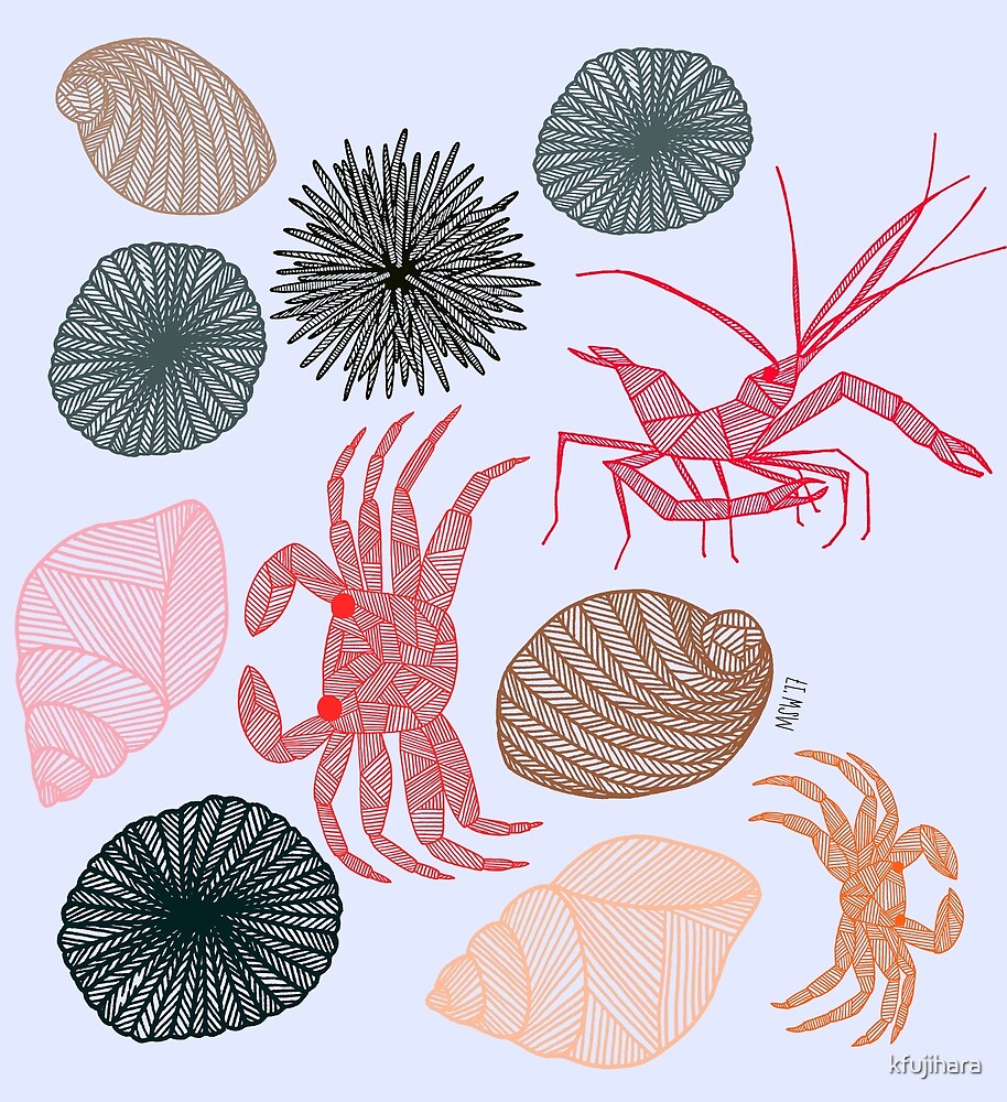 "Hawaiian Tide Pool" by kfujihara Redbubble