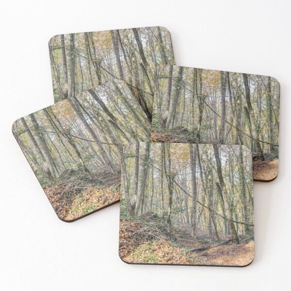Item preview, Autumn Peace in Fageda d'en Jordà Forest, Catalonia, Spain designed and sold by Marc Garrido Clotet.