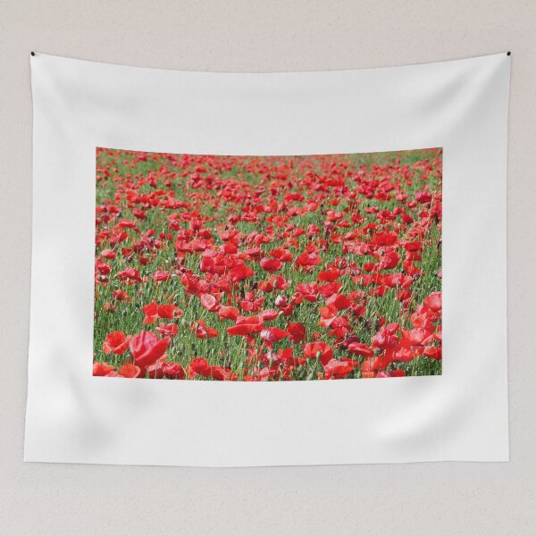 Aperçu de l'œuvre Fond de nature de prairie de fleurs de coquelicots créée et vendue par goceris.