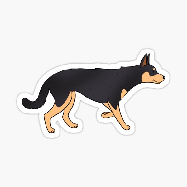 Red cloud orders kelpie puppy